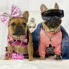 Barkie Tag - Image 5