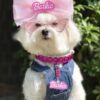 Barkie Tag - Image 4