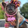 Barkie Tag - Image 2