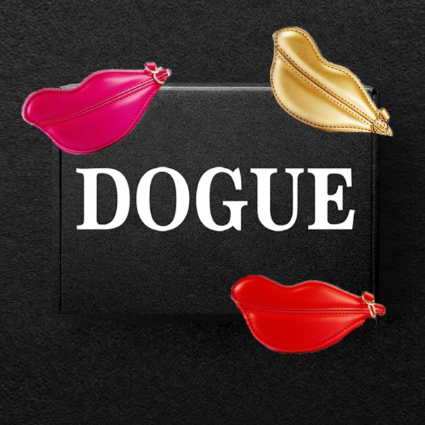 DVF DOGUE Box