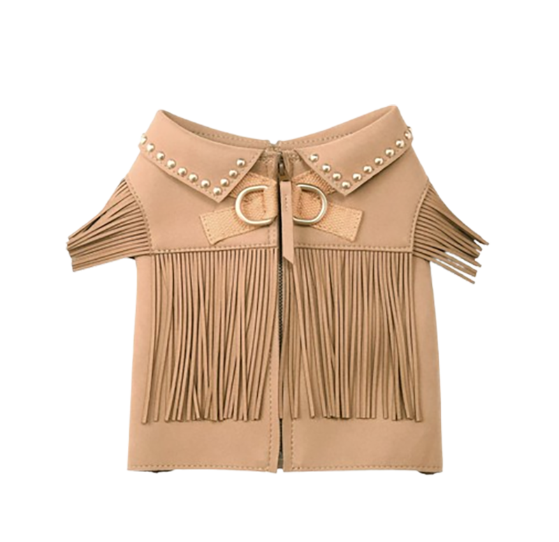 The Wild Child Leather Jacket
