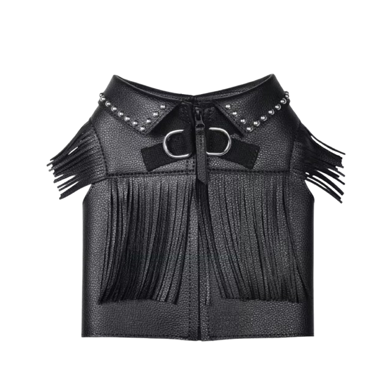 The Wild Child Leather Jacket - Image 2
